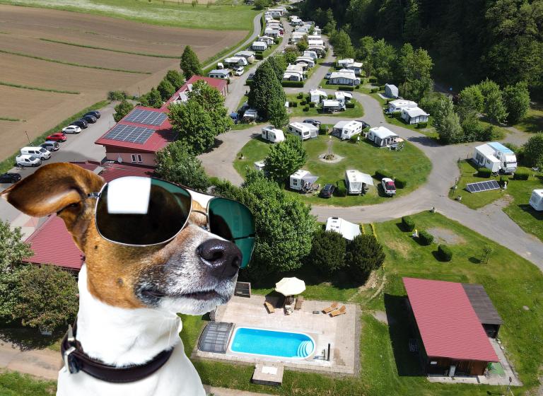 Ihr vierbeiniger Freund ist bei uns willkommen!